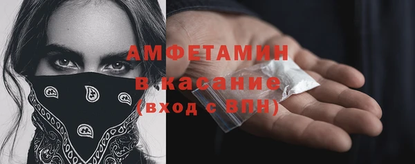 ГАЛЛЮЦИНОГЕННЫЕ ГРИБЫ Абаза
