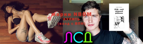 ГАЛЛЮЦИНОГЕННЫЕ ГРИБЫ Абаза