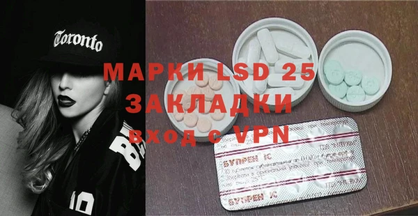 ГАЛЛЮЦИНОГЕННЫЕ ГРИБЫ Абаза