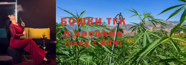 ГАЛЛЮЦИНОГЕННЫЕ ГРИБЫ Абаза