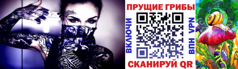 Галлюциногенные грибы Psilocybe  где найти наркотики  Чебаркуль 