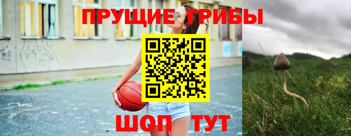 Галлюциногенные грибы прущие грибы  Вход с VPN  Чебаркуль 