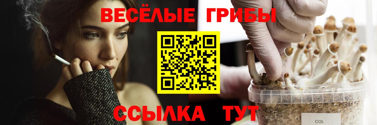 Псилоцибиновые грибы MAGIC MUSHROOMS Чебаркуль